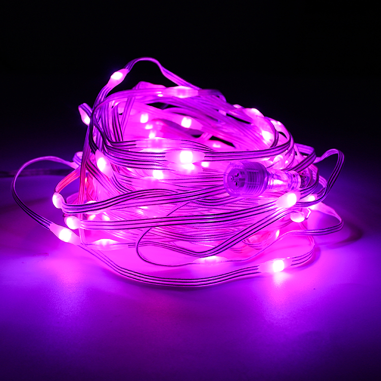 Christmas Digital Programmable WS2811 String Light 5V 12V RGB LED Pixels Light