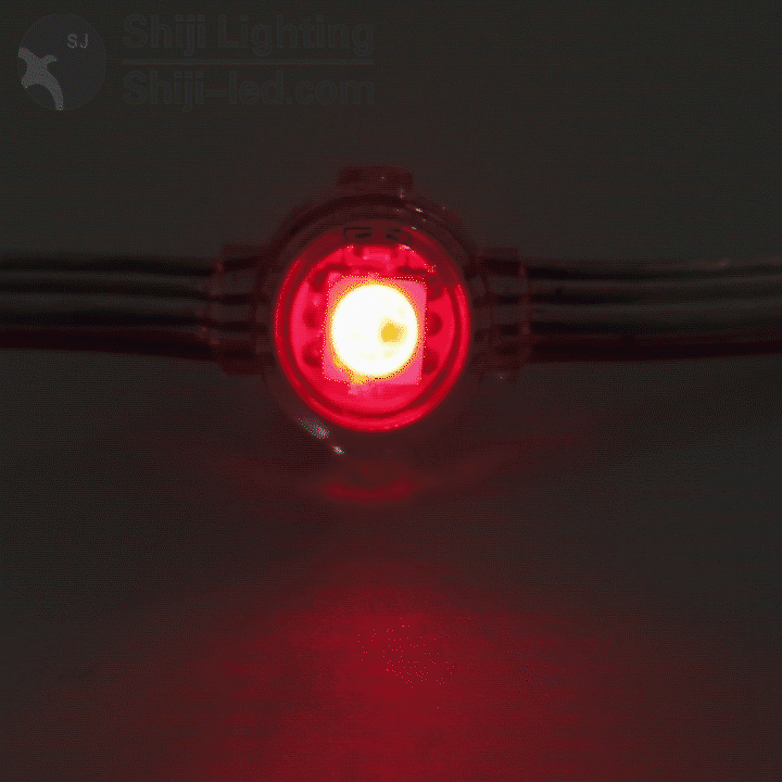waterproof digital diameter 10mm rgb pixel led string light