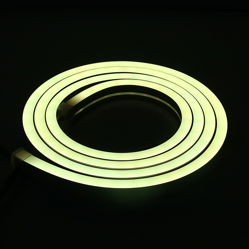 Trade Assurance New Waterproof 12x20mm LED neon flex /RGB Multi-color Changing Flexible neon light