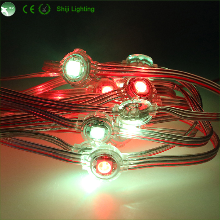 Waterproof IP66 String Light 5V 12V Point Lighting 10mm RGB LED Pixel Curtain Light Facebook Twitter Instagram Youtube Tiktok